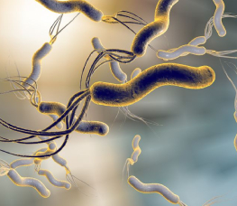 幽门螺杆菌感染有哪些症状，如何预防呢？